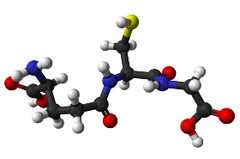 Glutathione